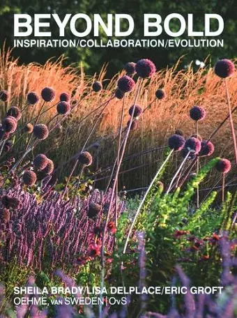 Beyond Bold: Inspiration, Collaboration, Evolution cover