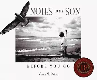 Notes to My Son cover