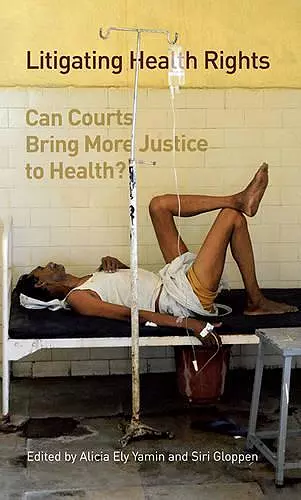 Litigating Health Rights cover