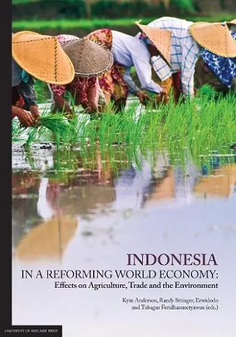 Indonesia in a Reforming World Economy cover