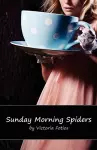 Sunday Morning Spiders cover
