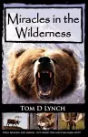 Miracles In The Wilderness cover