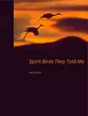 Spirit Birds They Told Me cover