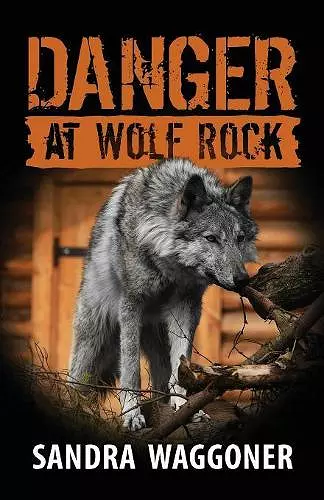 Danger at Wolf Rock cover