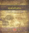 The Gospel in Galatians cover