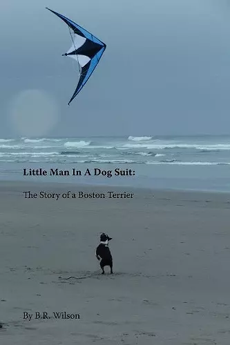 Little Man in a Dog Suit cover