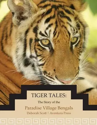 Tiger Tales cover