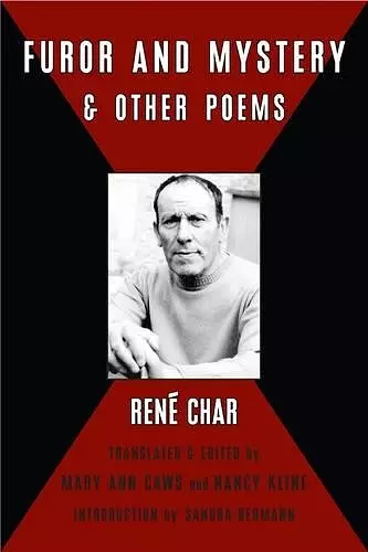 Furor and Mystery and Other Poems cover