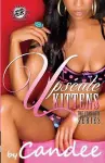 Upscale Kittens cover