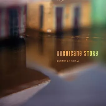 Hurricane Story cover