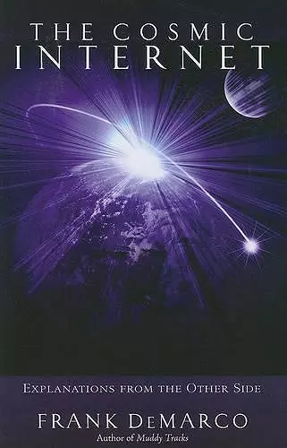 The Cosmic Internet cover
