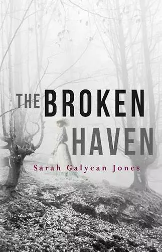 The Broken Haven cover