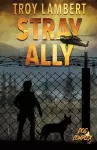 Stray Ally cover