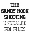 The Sandy Hook Shooting cover