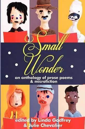 Small Wonder cover