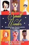 Small Wonder cover