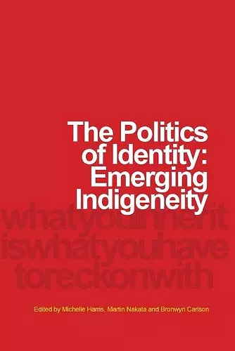 The Politics of Identity cover