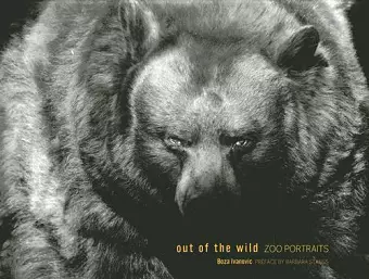 Out of the Wild cover