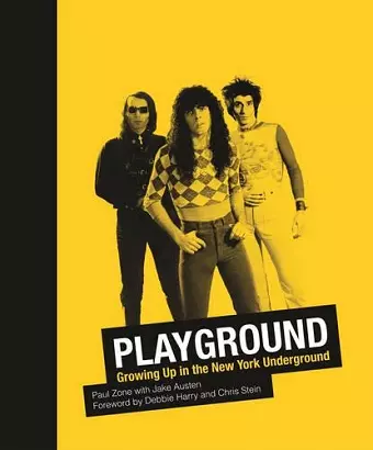 Playground cover