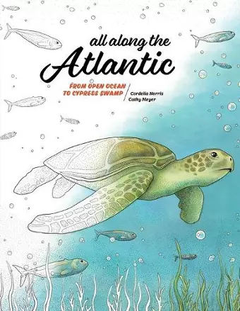 All Along the Atlantic cover