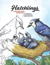 Hatchlings cover