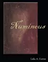 Numinous cover