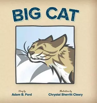 Big Cat cover