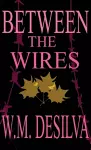 Between The Wires cover