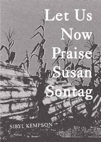 Let Us Now Praise Susan Sontag cover