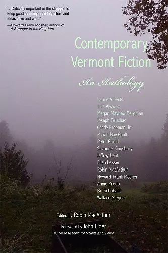 Contemporary Vermont Fiction cover
