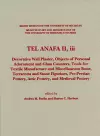 Tel Anafa II, iii cover