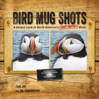 Bird Mug Shots cover