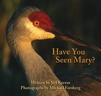 Have You Seen Mary? cover