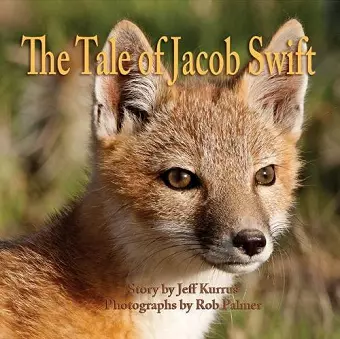 The Tale of Jacob Swift cover