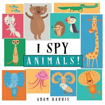 I Spy Animals! cover