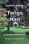 Twigs in my Hair cover