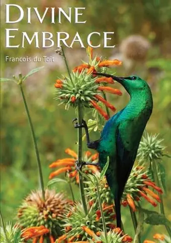 Divine Embrace cover