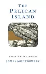 The Pelican Island (Illustrated Edition) cover