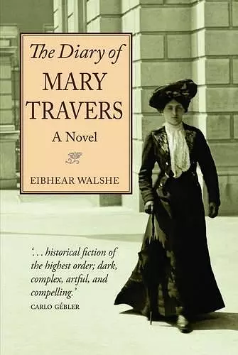 The Diary of Mary Travers cover