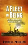A Fleet in Being cover