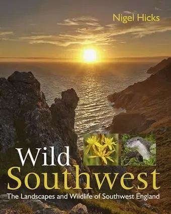 Wild Southwest cover