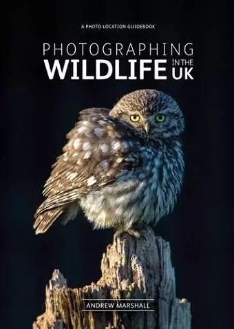 Photographing Wildlife in the UK cover