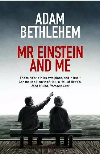Mr Einstein and Me cover