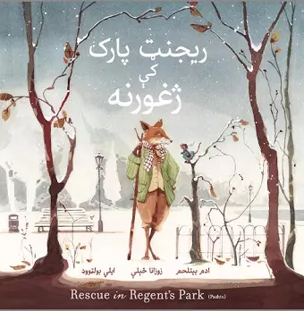 Rescue in Regent's Park: Pashto Language Edition cover