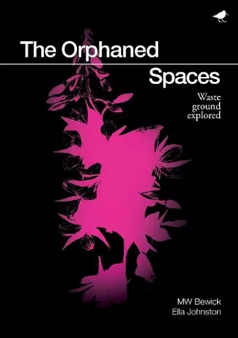 The Orphaned Spaces cover