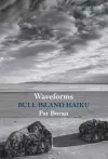 Waveforms: Bull Island Haiku cover