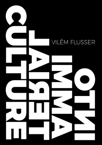 Into Immaterial Culture cover