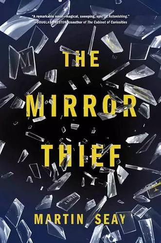 The Mirror Thief cover