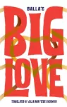 Big Love cover