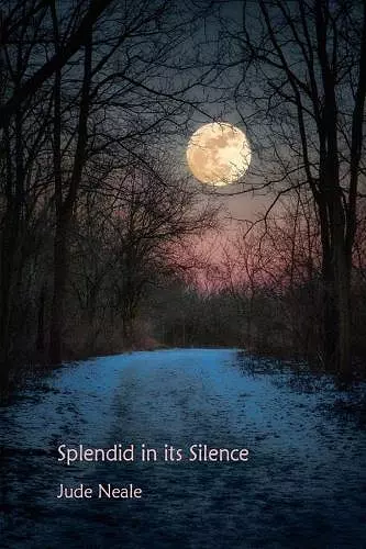 Splendid in Its Silence cover